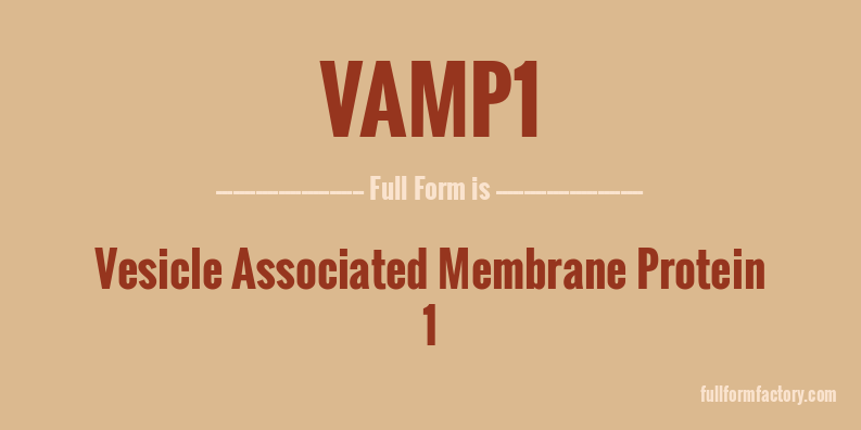 vamp1-full-form