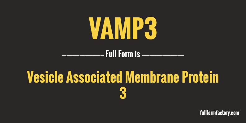 vamp3-full-form