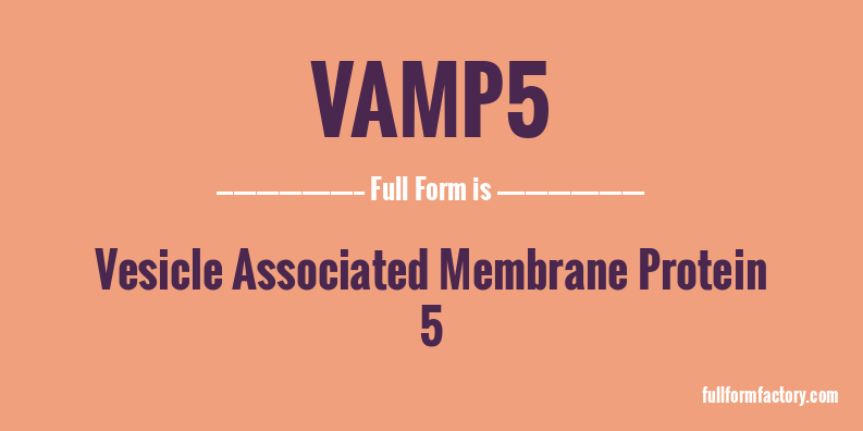 vamp5-full-form