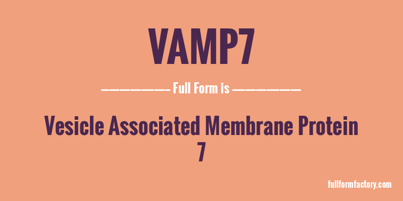 vamp7-full-form