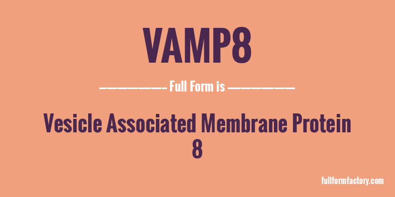 vamp8-full-form