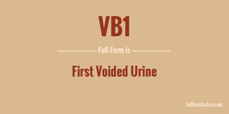 vb1-full-form