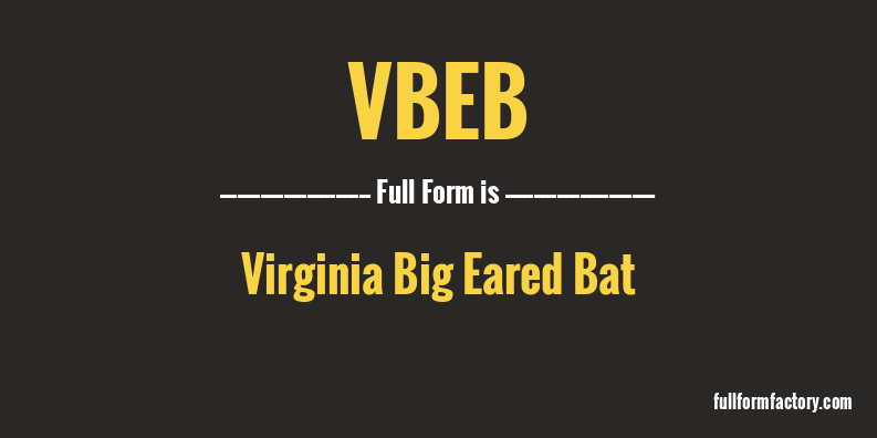 vbeb-full-form