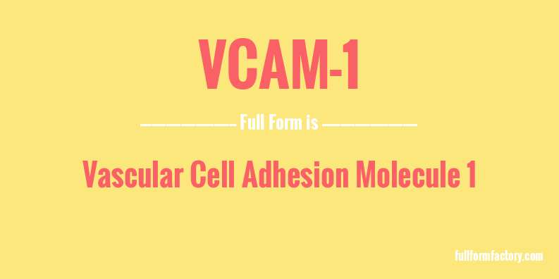 vcam-1-full-form