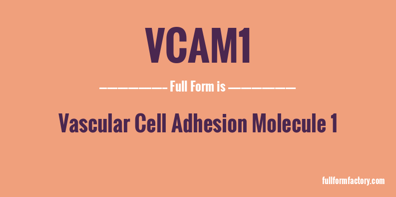 vcam1-full-form
