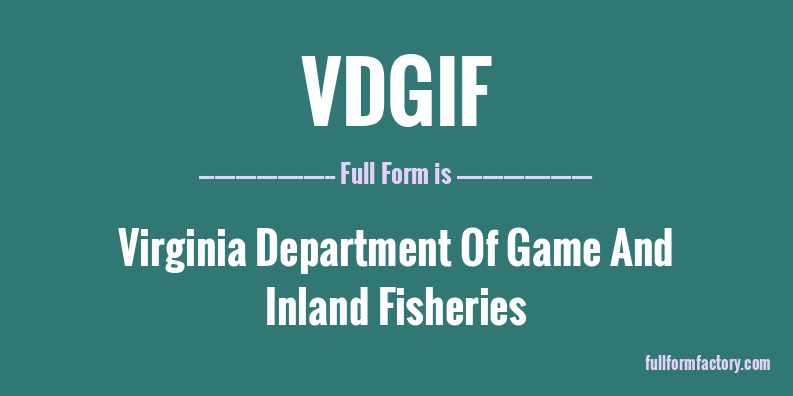 vdgif-full-form