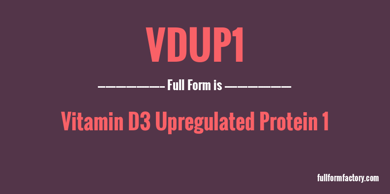 vdup1-full-form