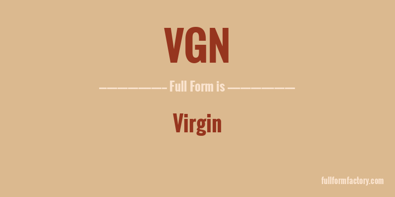 vgn-full-form