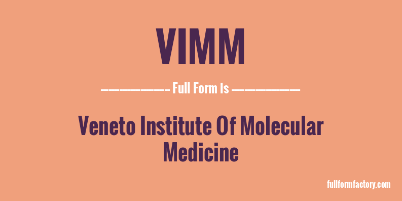 vimm-full-form