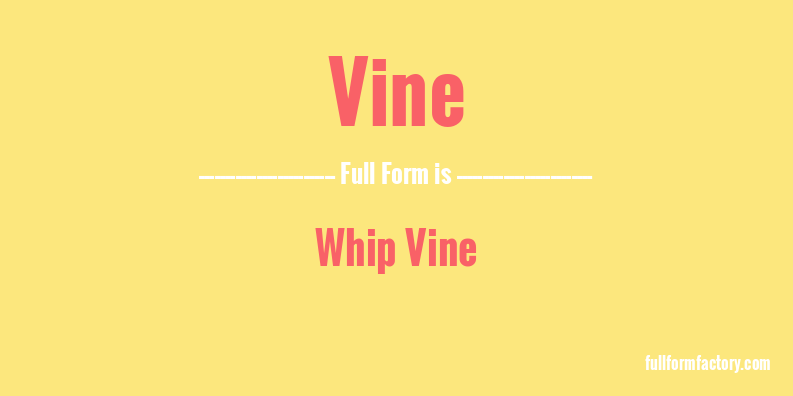 vine-full-form