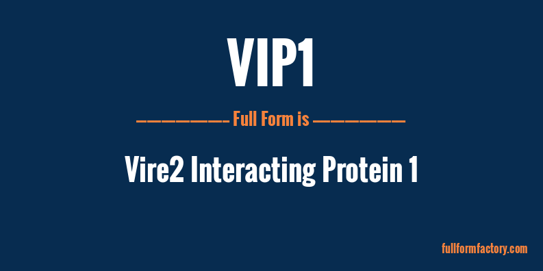 vip1-full-form