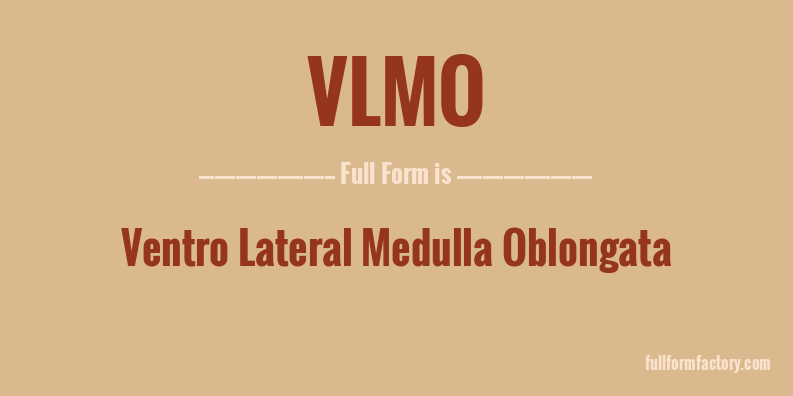 vlmo-full-form