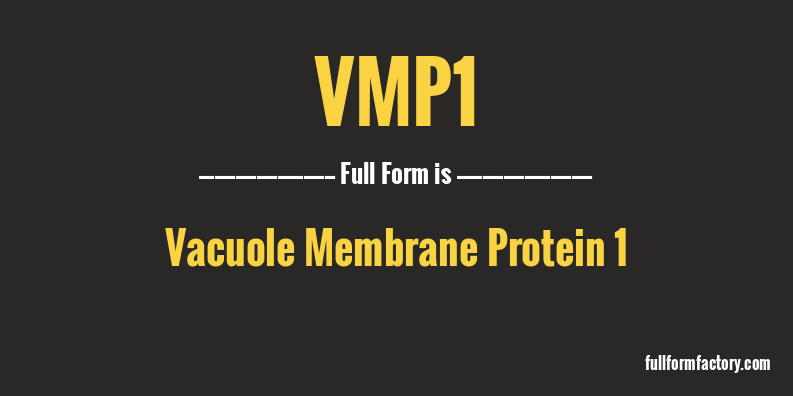 vmp1-full-form
