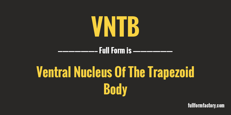 vntb-full-form