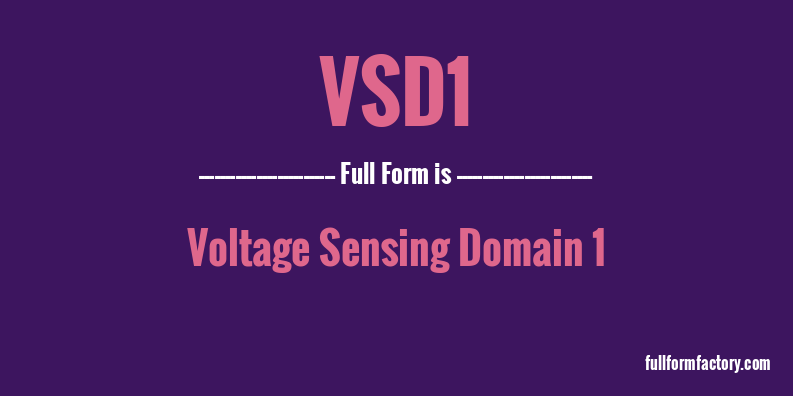vsd1-full-form