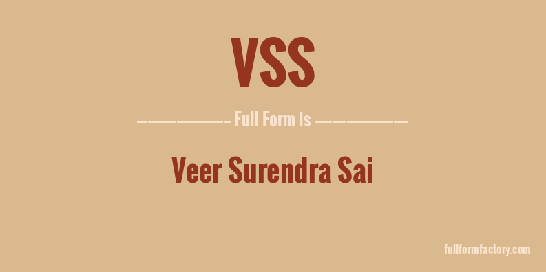 vss-full-form