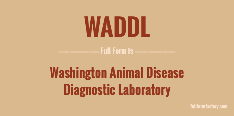 waddl-full-form