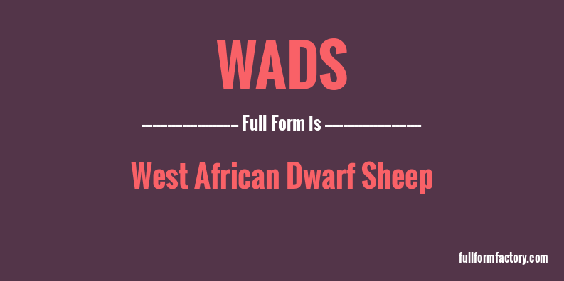 wads-full-form