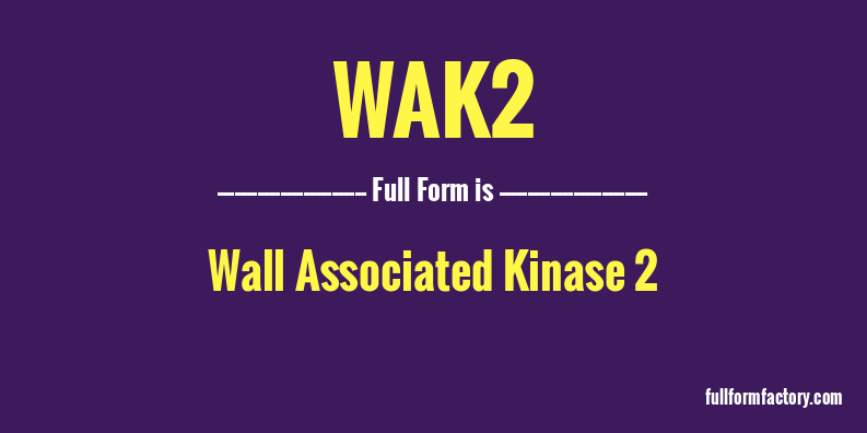 wak2-full-form