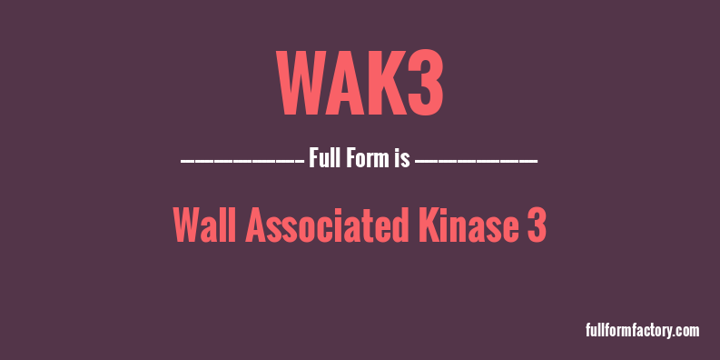 wak3-full-form