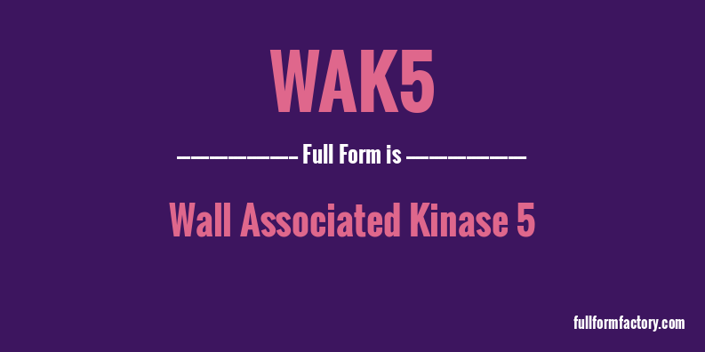 wak5-full-form
