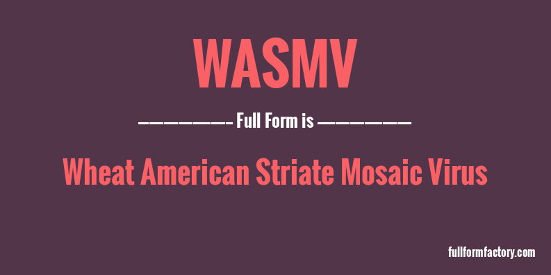 wasmv-full-form