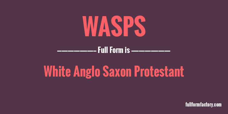 wasps-full-form