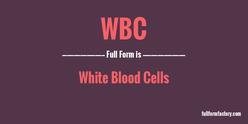 wbc-full-form