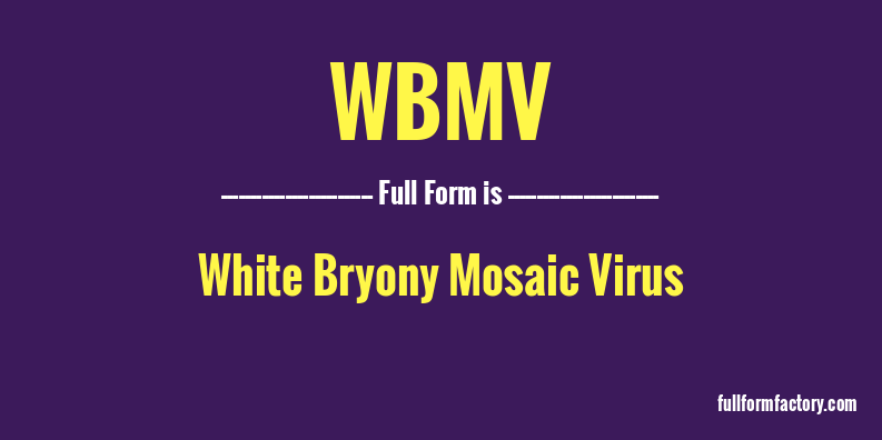 wbmv-full-form