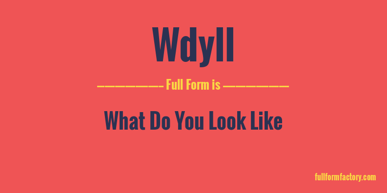 wdyll-full-form