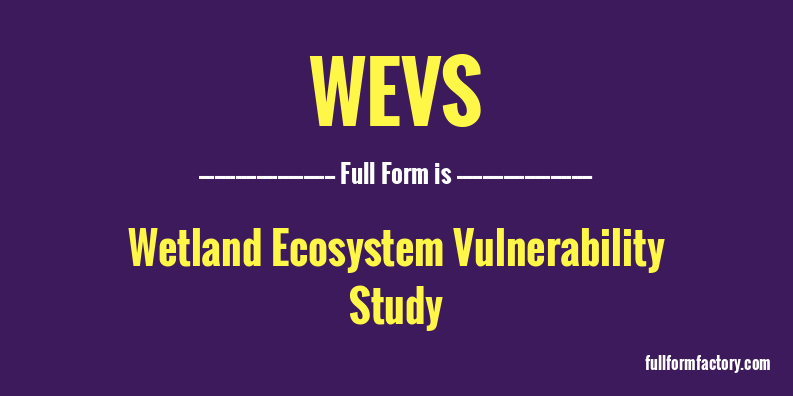 wevs-full-form