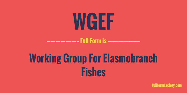 wgef-full-form