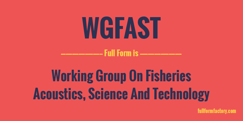wgfast-full-form