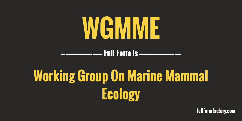 wgmme-full-form