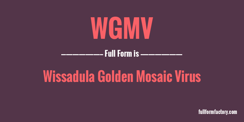 wgmv-full-form