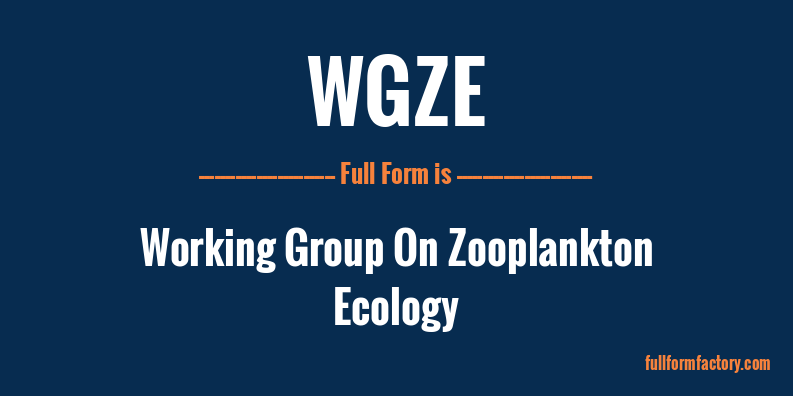 wgze-full-form