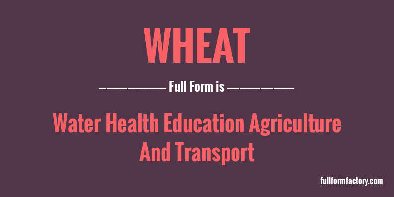 wheat-full-form