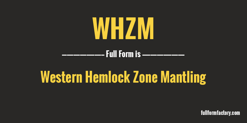 whzm-full-form