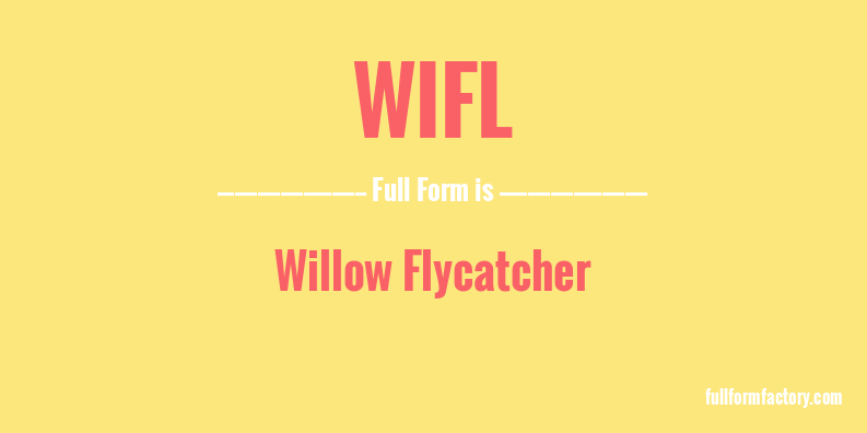 wifl-full-form