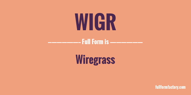 wigr-full-form