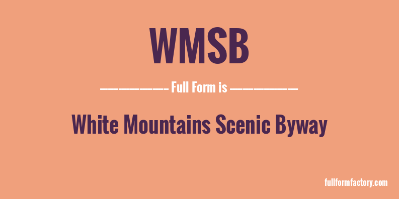 wmsb-full-form