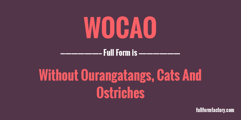 wocao-full-form