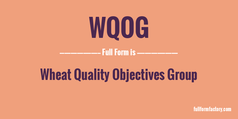 wqog-full-form