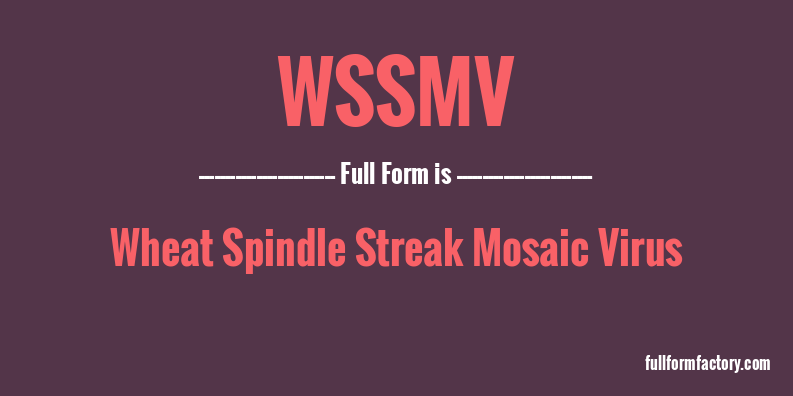 wssmv-full-form