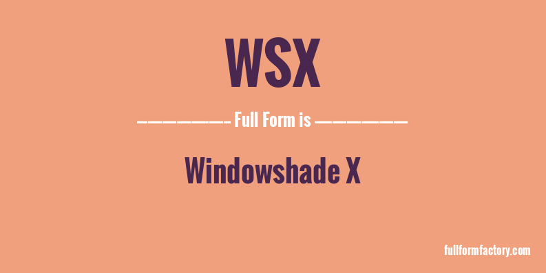 wsx-full-form