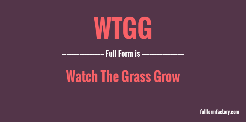 wtgg-full-form