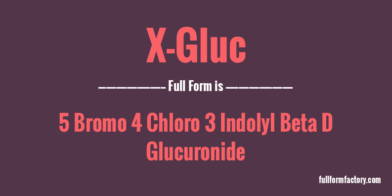 x-gluc-full-form