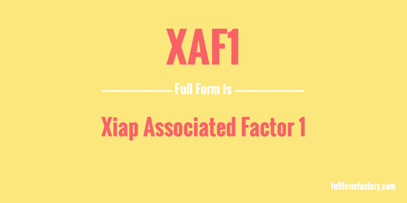 xaf1-full-form