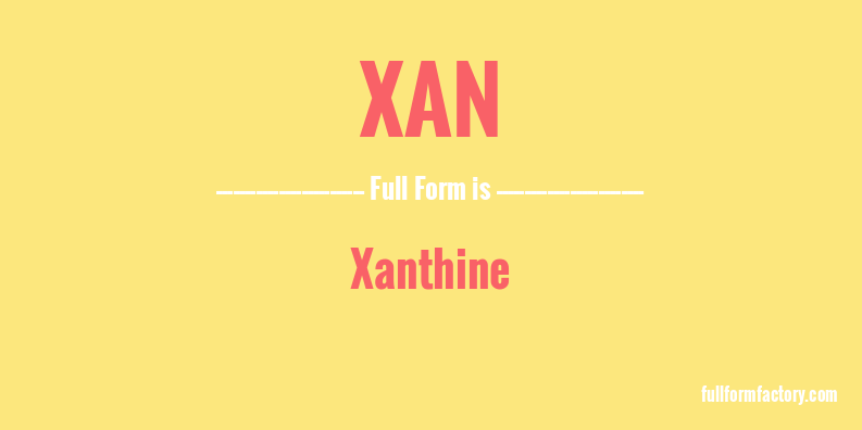 xan-full-form