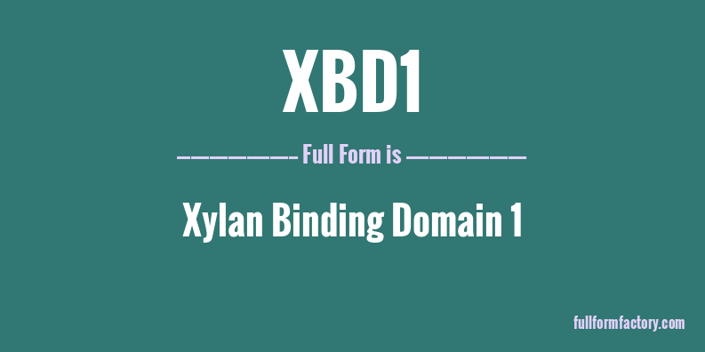xbd1-full-form